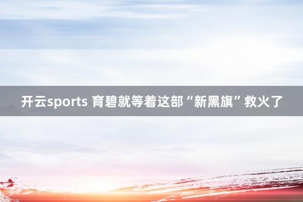 开云sports 育碧就等着这部“新黑旗”救火了