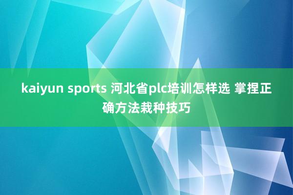 kaiyun sports 河北省plc培训怎样选 掌捏正确方法栽种技巧